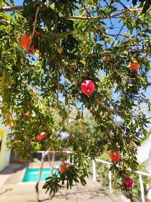 היחידה - Hayehida Appartement Ma'alot-Tarshiha Buitenkant foto